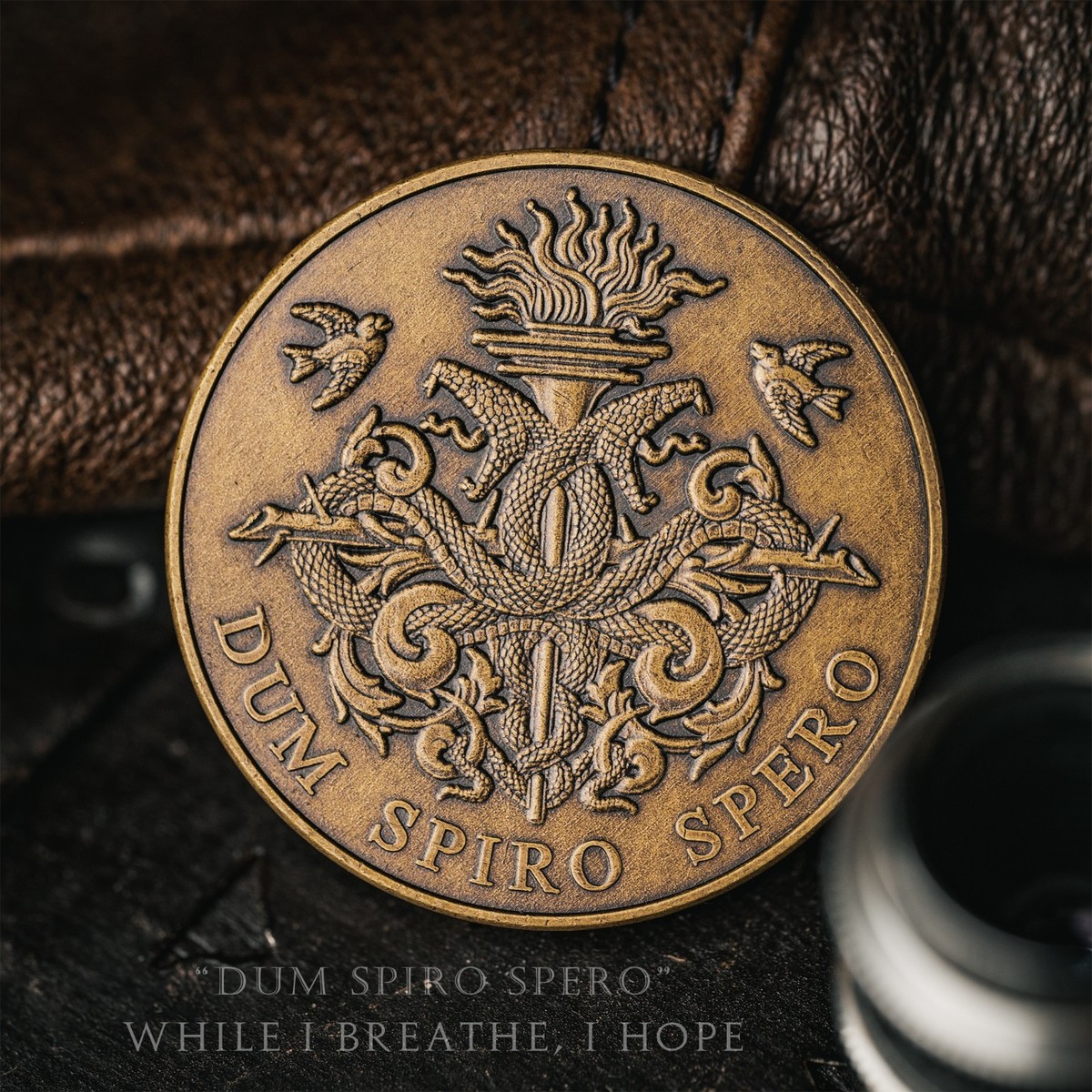 Dum Spiro Spero Coin | Stoic Quote Coin | While I breathe I Hope |  Medallion | eBay