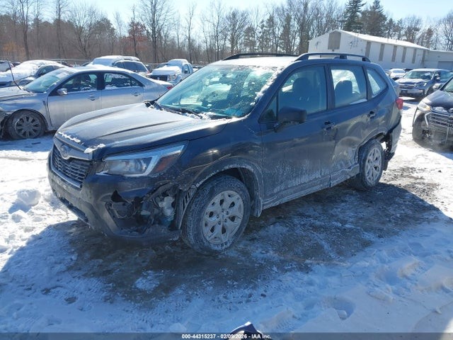 Picture 3