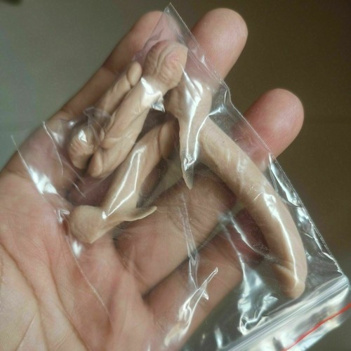 Nuovo Set 1/6 5pz Uomo Organo Genitale Big JJ Penis Phicen 12 Muscoli Maschili Corpo Giocattolo - Foto 4 di 10