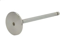 FP Diesel Intake Valve R97490-FP