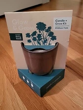 Modern Sprout Daisy Glow and Grow Ceramic Wildflower Scented Candle & Grow Kit
