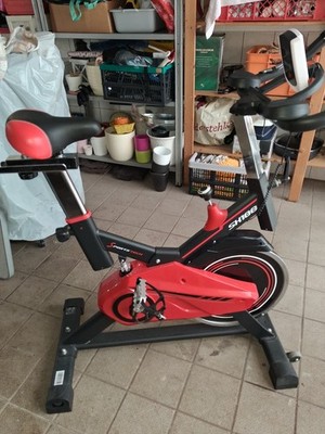 Heimtrainer SX100