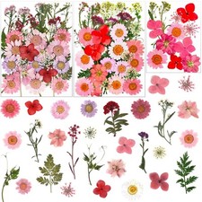 83 Pcs Pink Real Dried Pressed Flowers Natural Leave Petals for DIY Resin Mol...