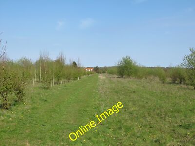 Photo 12x8 Track through Sapling Plantation, Fordham Hall Estate Fordham/ c2013