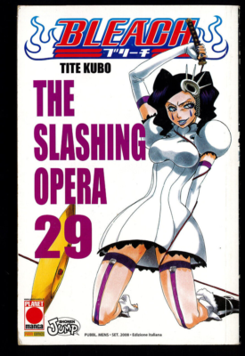 BLEACH - 29