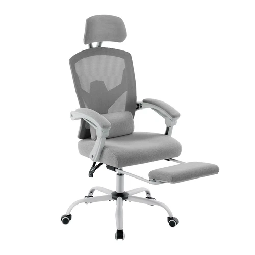 Ergonomic Mesh Office Chair w/ 3D Armrests,High Back, Wheels Office Ergo 3D - Bild 1 von 18