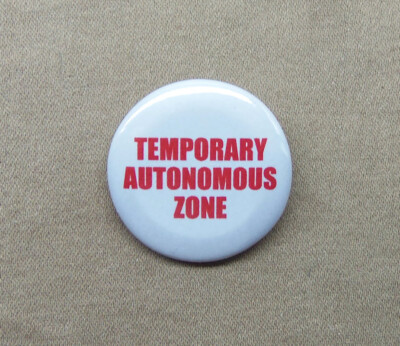 Temporary Autonomous Zone 1.25  Button TAZ Hakim Bey Anarchist Burning Man CHAZ
