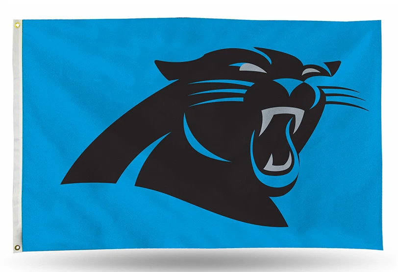 Bandera exterior 3x5 - Fútbol americano NFL - Carolina Panthers  Foto 2 de 4