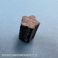 Jurassic Crinoid Star Stem Fossil &ndash; Lower Lias Seatown Dorset &ndash; Sea Lily Fossil
