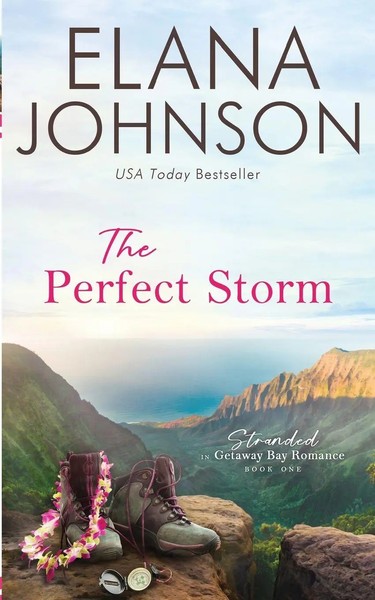 Elana Johnson | The Perfect Storm | Taschenbuch | Englisch (2023)-image