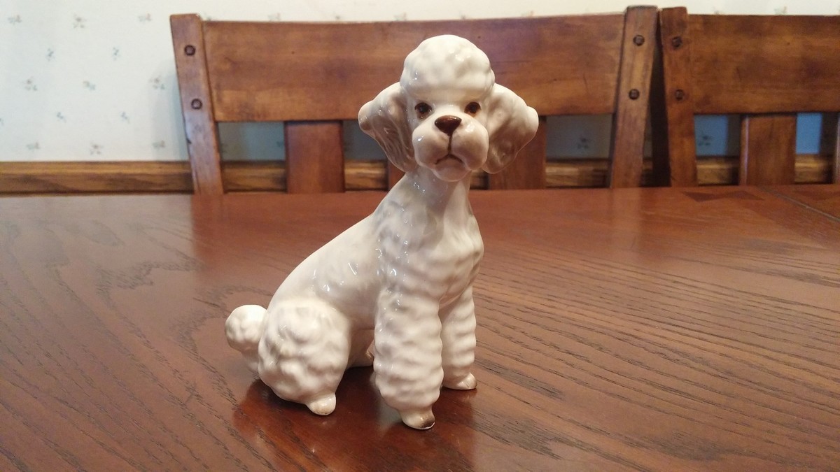 White Poodle dog numbered 44/808; grey tipped ears, loving face