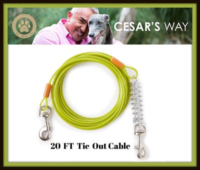 20 ft dog lead