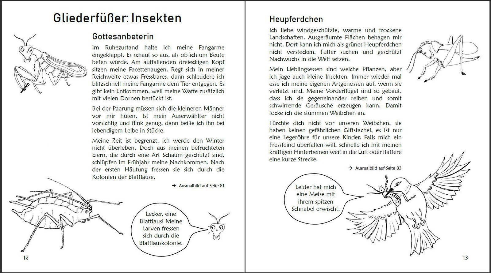 Thumbnail - Sigrun Eder (u. A.) | Ausmalspaß + Wissen: Fantatiere - Malbuch Ab 6