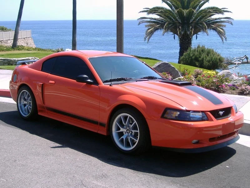 Compatível com 99-04 Compatível com 99-04 Mustang MACH 1 Queixo Spoiler - Todos Mustangs FRETE GRÁTIS - Imagem 2 de 3