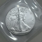 2022 American Silver Eagle 1 oz .999 Fine Silver $1 US Bullion Coin