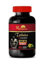 Daily strength enhancer - TRIBULUS TERRESTRIS EXTRACT - Athletic consistency her