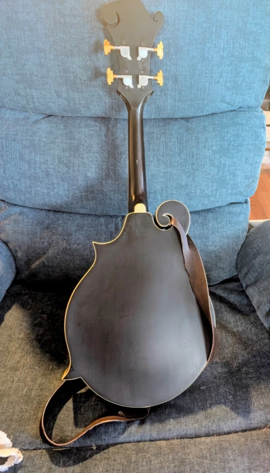 4 STRING ACOUSTIC/ELECTRIC JAZZ MANDOLIN / LUTHIER DESIGNED /FREE SHIPPING NOW - Image 3 of 4
