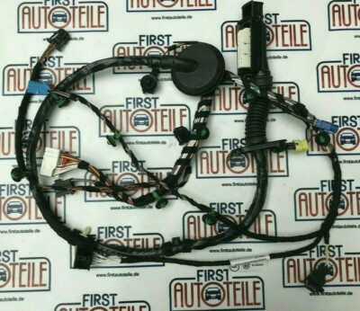 Original VW Passat B8 3G Türverkabelung Wiring Harness Driving Door 3G1971120DQ