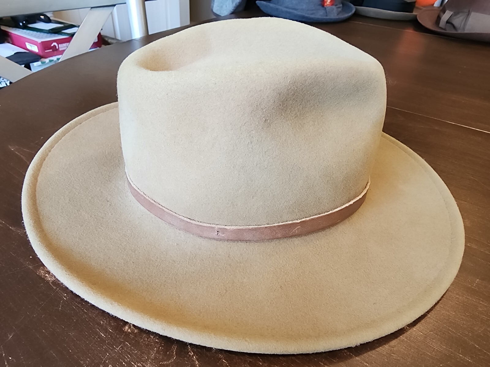 Pendleton 100% Virgin Wool Size Medium Beige Pana… - image 2