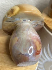 Polychrome Pastel Jasper Mushroom Mushie Crystal 3.74 Inches, 417g Chunky