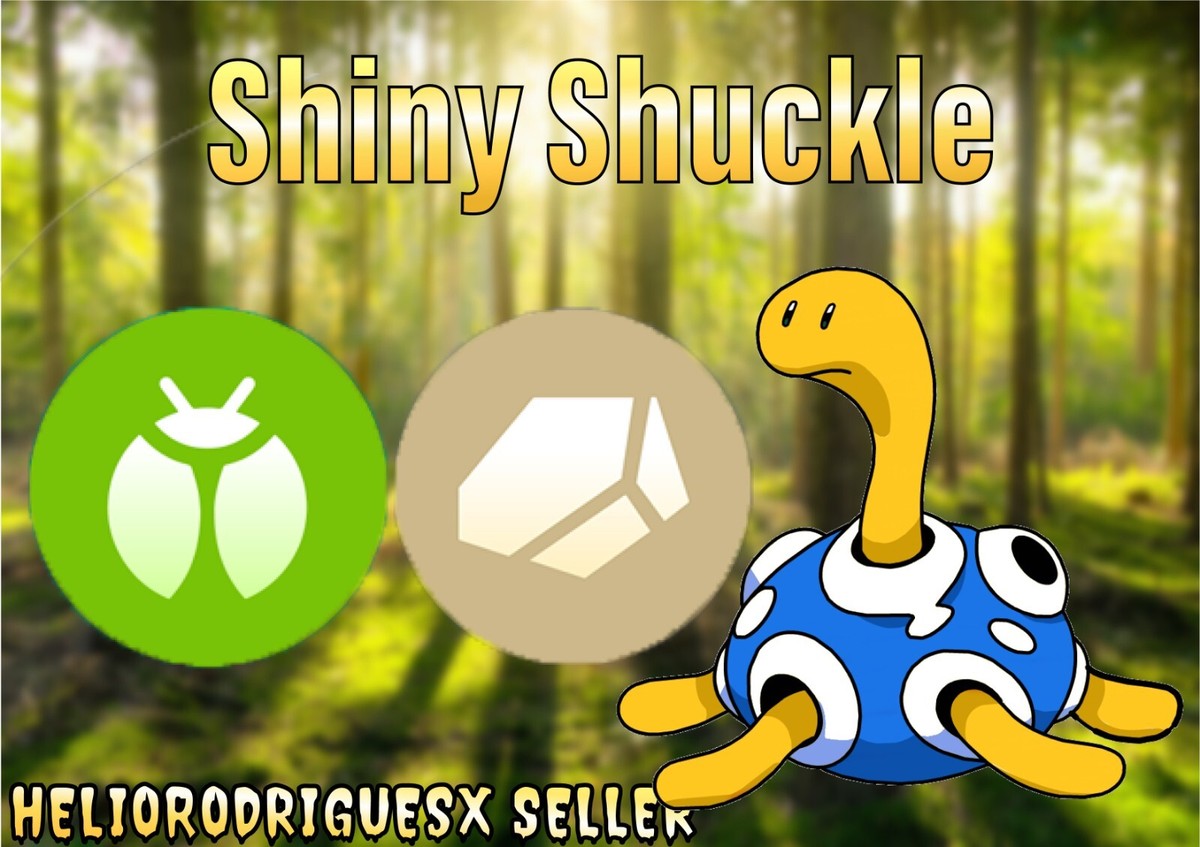 Buff Shuckle Shiny Shuckle Pokemon