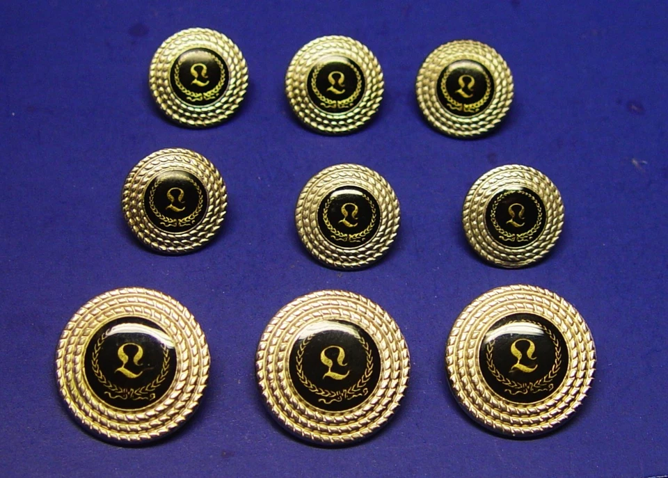 LEO replacement buttons 9 silver tone metal acrylic face black/gold background - Image 3 of 4