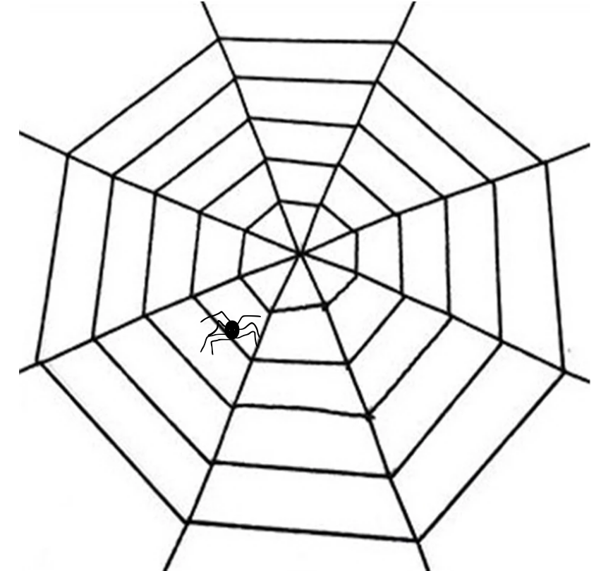 Giant Black Cobweb Halloween Decoration With Spiders - Nylon Web For Indoor/Outdoor Use (Coopers Brand) 2 thumbnail image