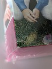 Foto 16 di 24