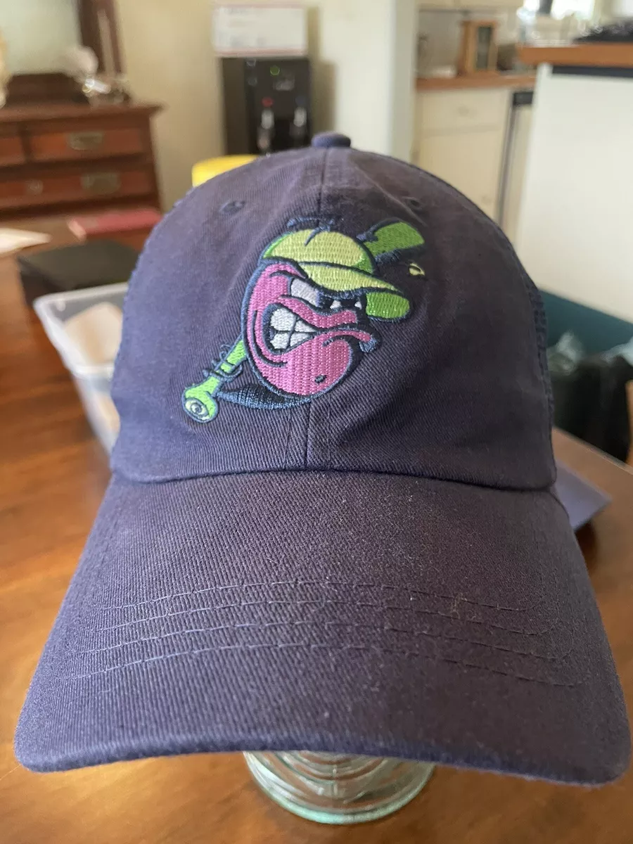 Coolest minor clearance league baseball hats