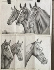 TRI CHEM 8227 D HORSE HEADS   Picture to paint  & Instructions Vintage USA 1978