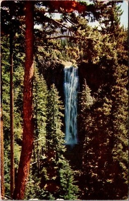 Salt Creek Falls High In The Oregon Cascade Mountains Jul 2 1956 Chrome Postcard