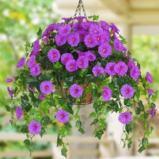 Artificial Hanging Plants Outdoors, Fake Hanging Flowers with Basket, Faux Vi...