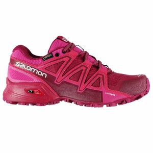 salomon trail running shoes waterproof