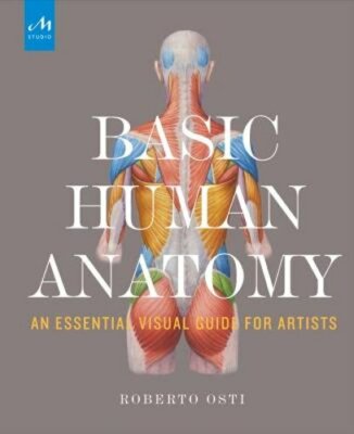 Basic Human Anatomy: An Essential Visual Guide for Artists by Roberto Osti: New