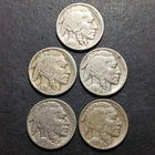 1925 1926 1927 1928 1929 Nickel Buffalo Nickel 5 Cents Coin Readable Worn Dates