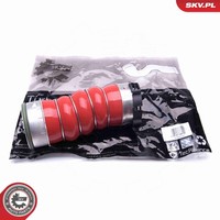 Ladeluftschlauch Esen SKV 43SKV219 FüR BMW X5 E70 X6 E71 E72 F15 F85 F16 F86