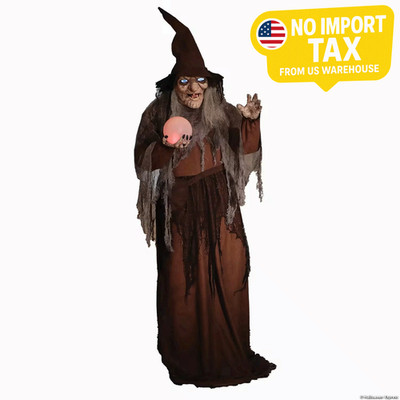 68'' Digiteye Soothsayer Witch Animated Prop - Seasonal Visions