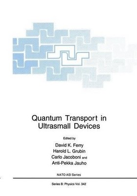 Quantum Transport in Ultrakleingeräten - 9781461358091