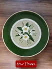 Vintage "Star Flower" Stangl Pottery 14" Serving/Charger Plate