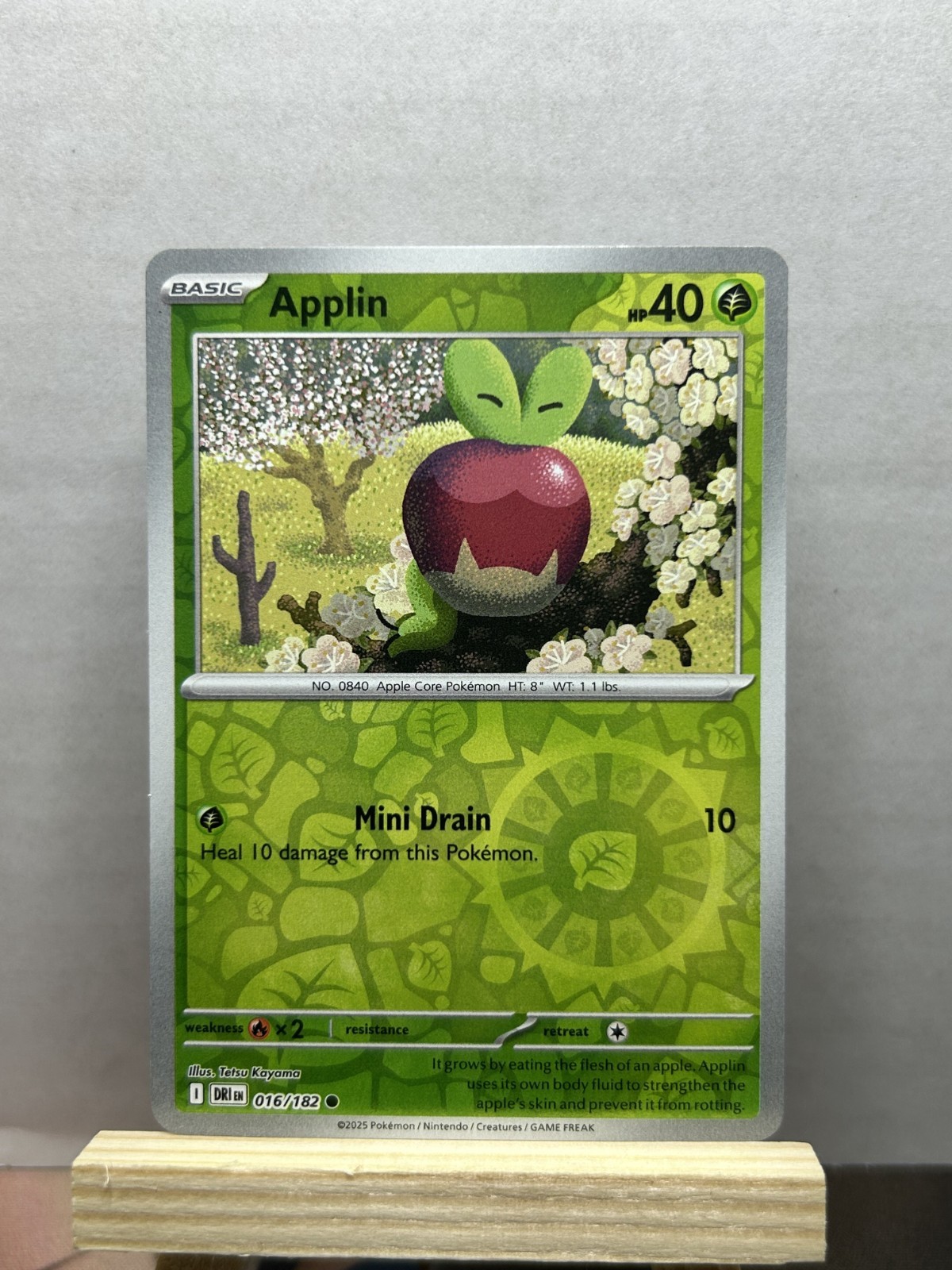 Applin [Reverse Holo] #16 Pokemon Destined Rivals