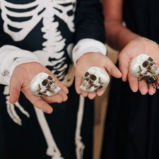  10 Pcs Plastic Skull Decoration Haunted House Ornament Human Model