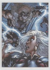 2010 Rittenhouse Marvel Heroes & Villains Silver Storm vs Sabretooth #51 1d7a