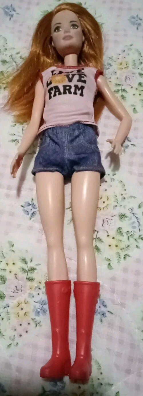 Barbie Sweet Orchard Chicken Farmer Original Clothes Live Love Farm 2015    (37)