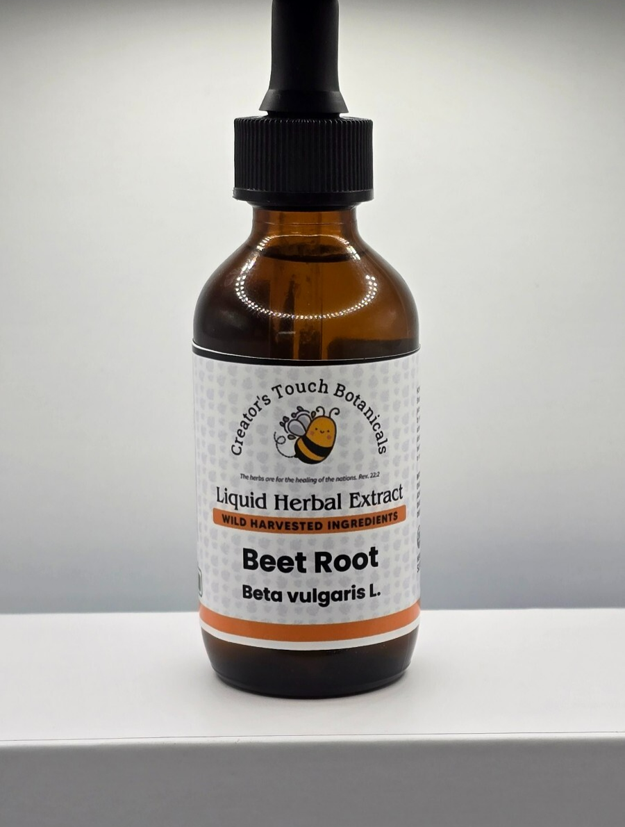 Beet Root Extract (Beta vulgaris) 1-2oz | Alcohol-Free or Grain Alcohol | Circul