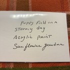 Poppy field on a stormy afternoon — photo 3