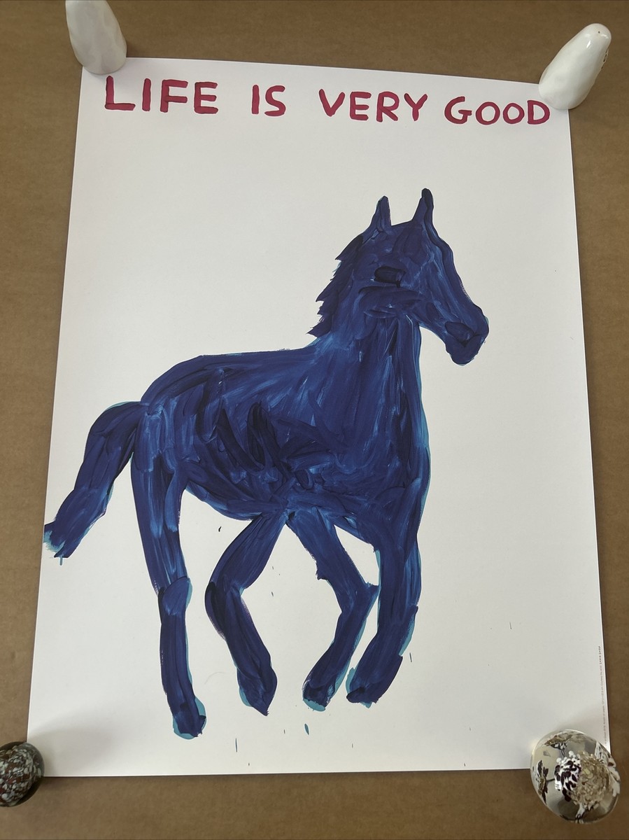 David Shrigley Original Poster - Life is Very Good﻿ | eBay UK