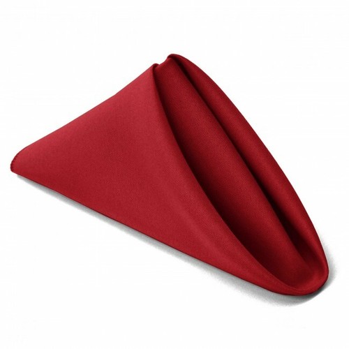 SimplyPoly 17x17 Inch Cloth Napkins - Picture 177 of 199