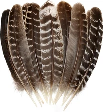 Natural Wild Turkey Feathers Wing 12-14Inch (30-35Cm) for Crafts DIY Home Weddin