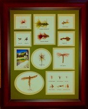 16 Framed and Mounted Fly Assortment