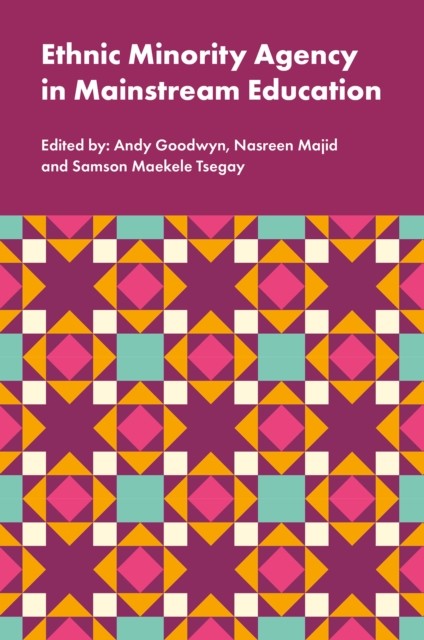 Ethnic Minority Agency in Mainstream Education (Hardback Book)
